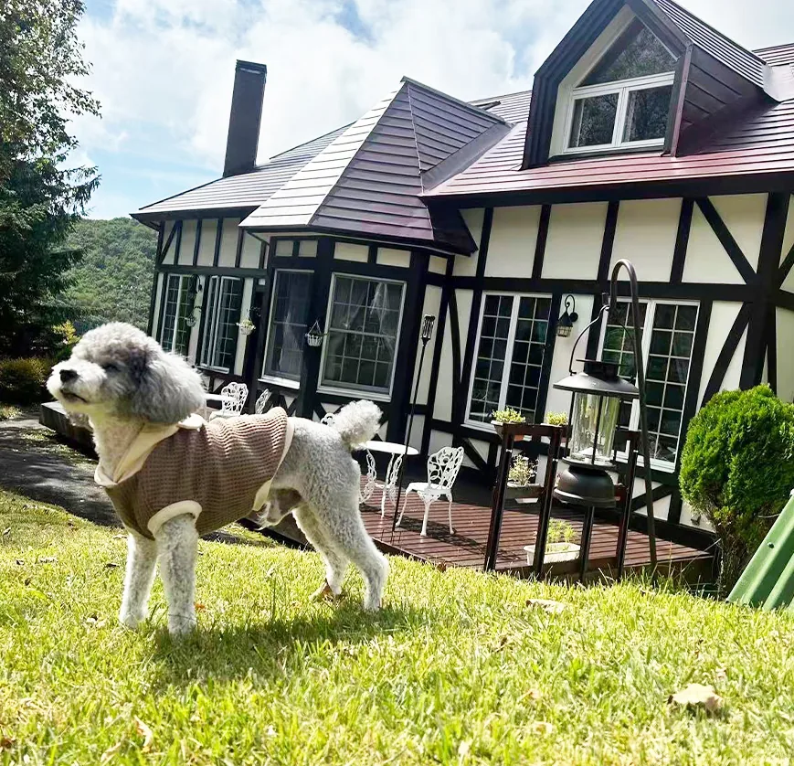 ドッグランを駆ける愛犬