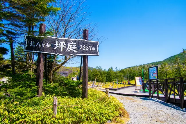 北八ヶ岳ロープウェイ