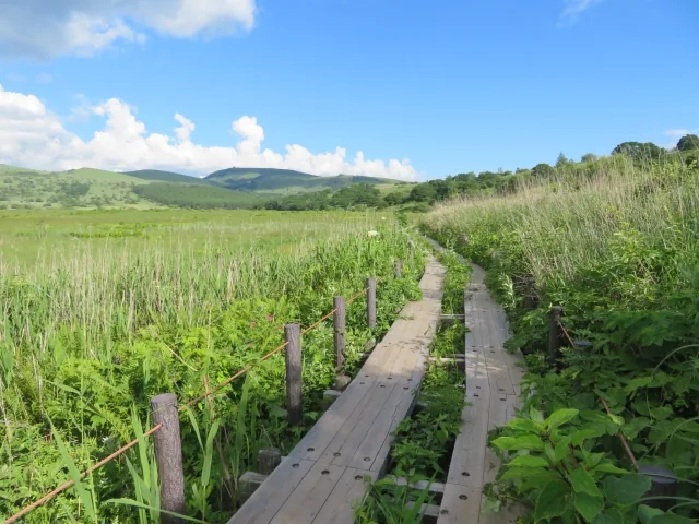 八島湿原